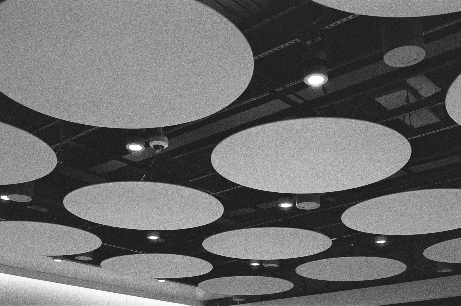 Round felt acoustic absorber panels on a ceiling